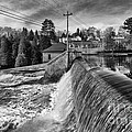 The year of the flood