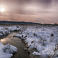 Winter's blanket...